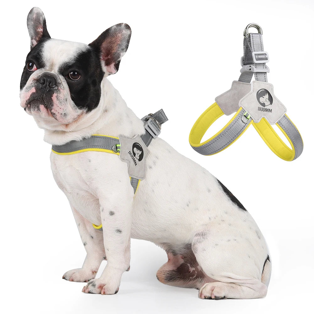 ReflectPaw Harness