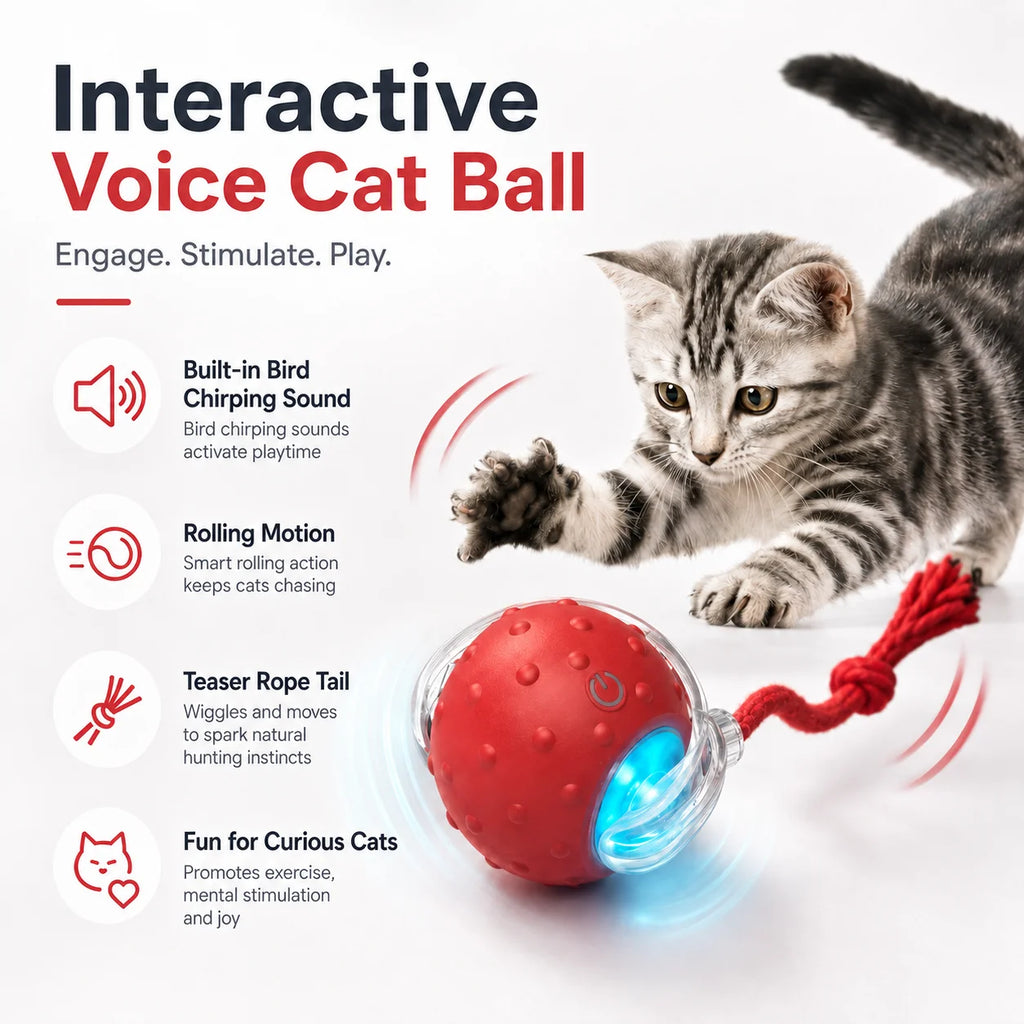 SmartRoll Cat Ball