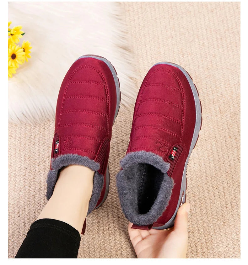 Cozy Snow