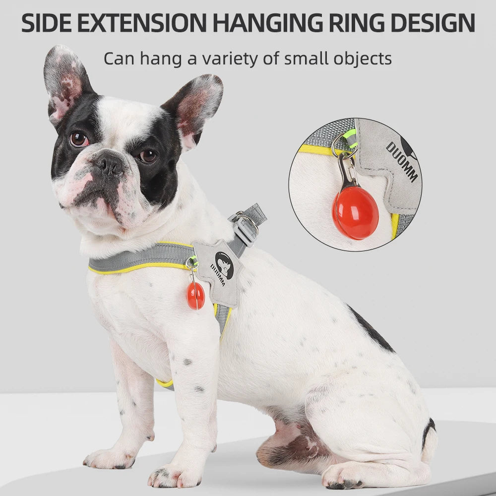 ReflectPaw Harness