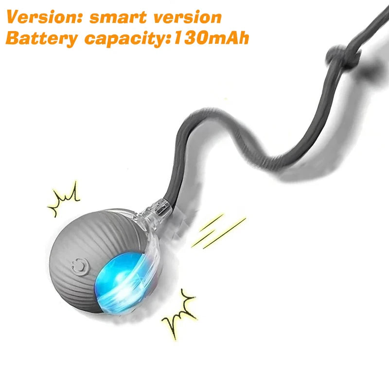 SmartRoll Cat Ball