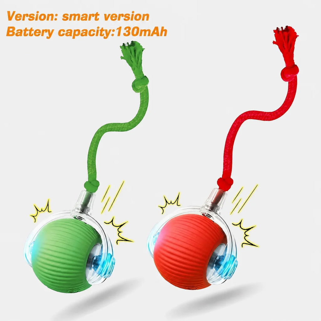 SmartRoll Cat Ball