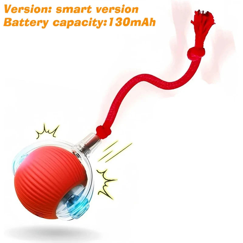 SmartRoll Cat Ball