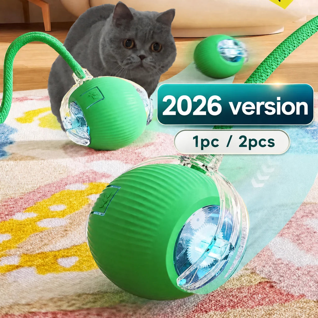 SmartRoll Cat Ball
