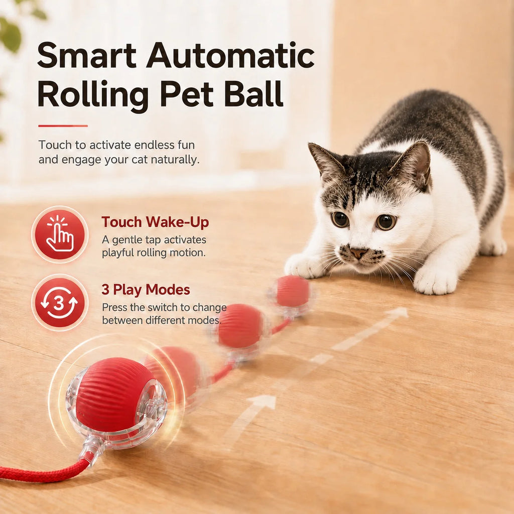 SmartRoll Cat Ball